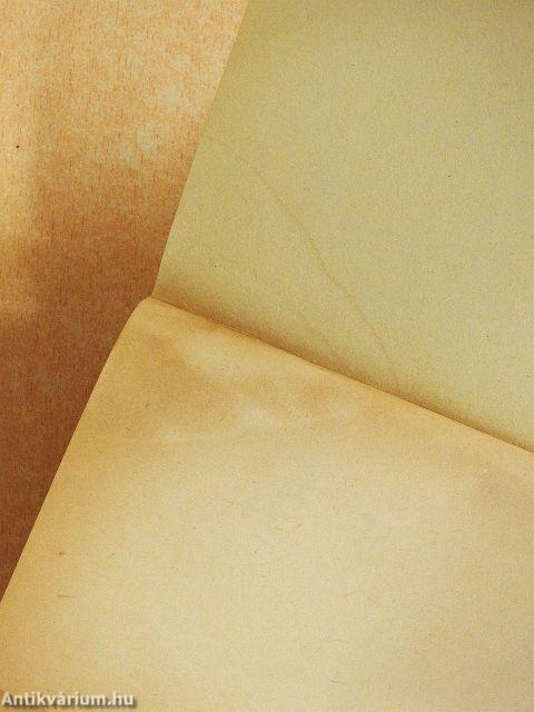 Az irattár titka/Tragikus vadászat