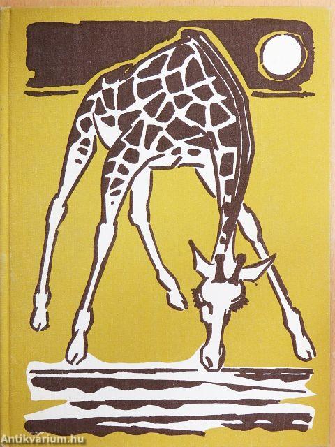 A zsiráfok inni mennek