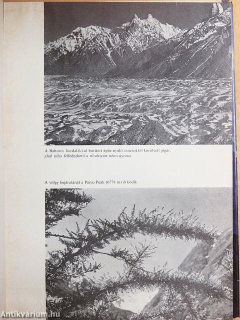 Titokzatos nagy csúcsokon