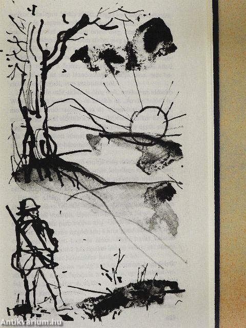 Kittenberger Kálmán élete