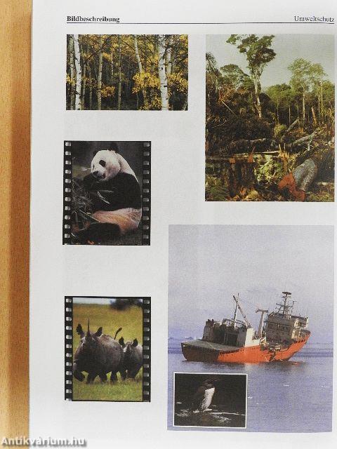 Középfokú kurzuskönyv a német szóbeli nyelvvizsgához