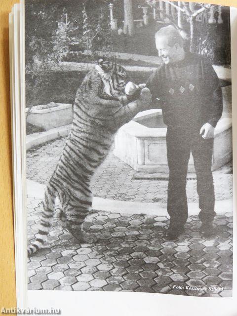 Az ítélet: halál?