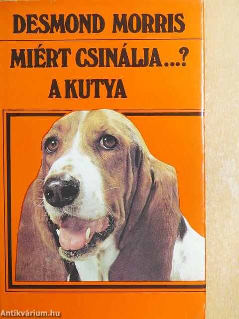 Miért csinálja...? A kutya