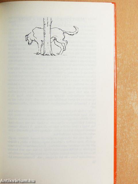 Miért csinálja...? A kutya