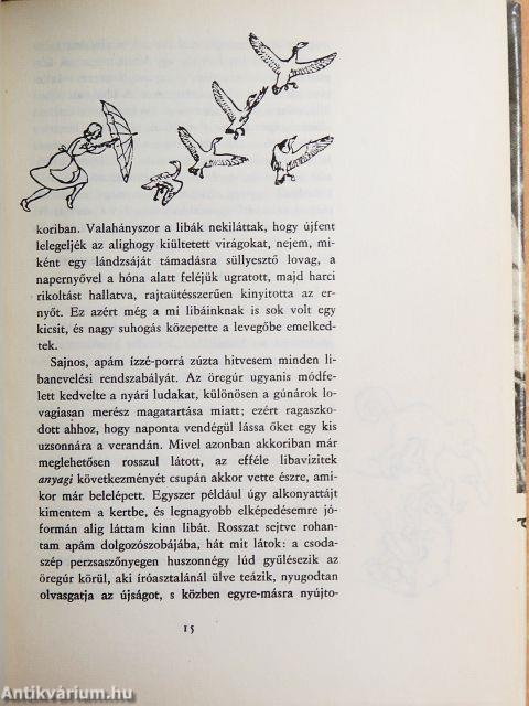 Salamon király gyűrűje