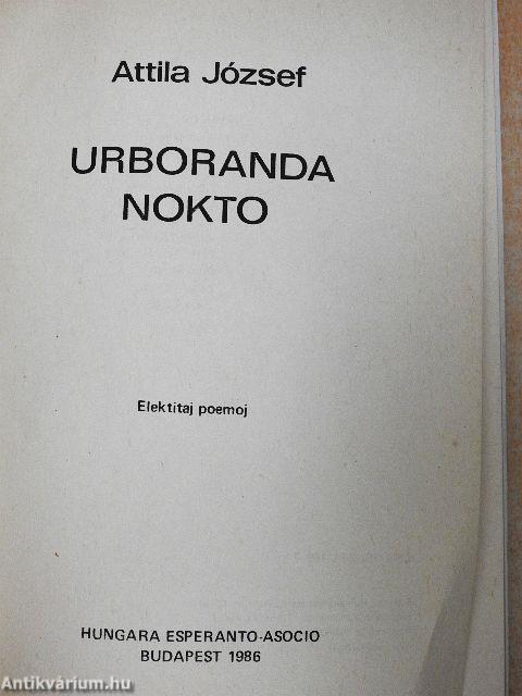 Urboranda nokto