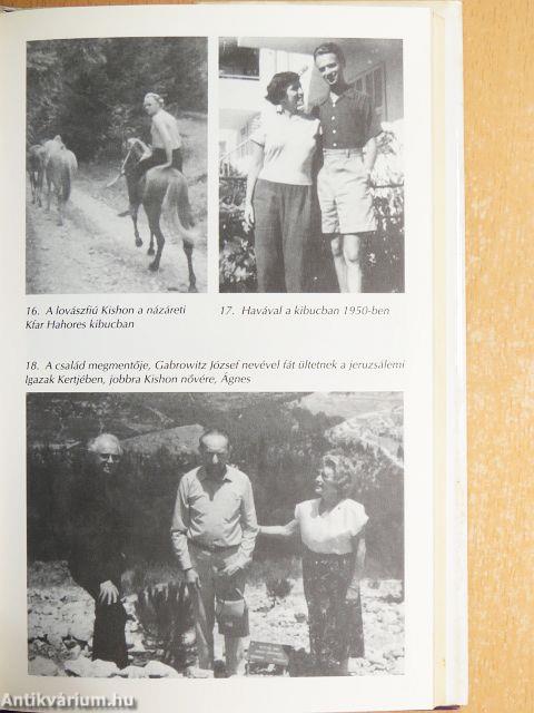 Volt szerencsém