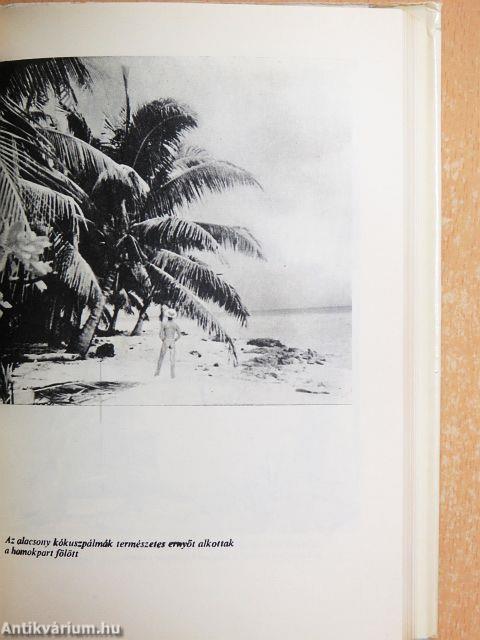 Egyszemélyes sziget