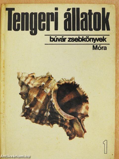 Tengeri állatok 1.