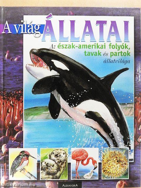 Az észak-amerikai folyók, tavak és partok állatvilága