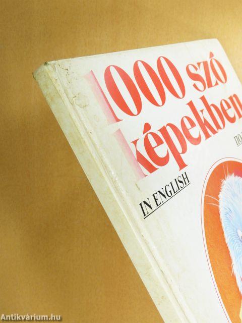 1000 szó képekben
