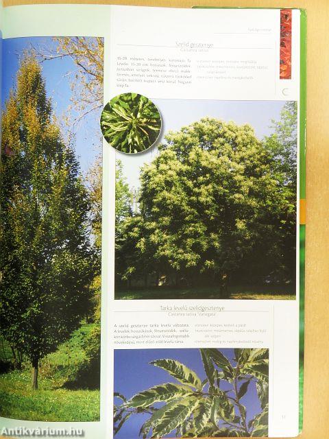 Nagy díszfa és cserje lexikon