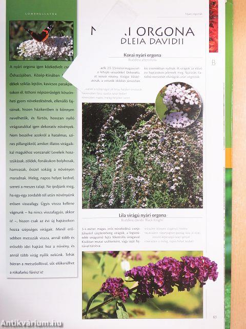 Nagy díszfa és cserje lexikon