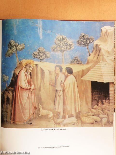 Giotto freskói a padovai Aréna-kápolnában