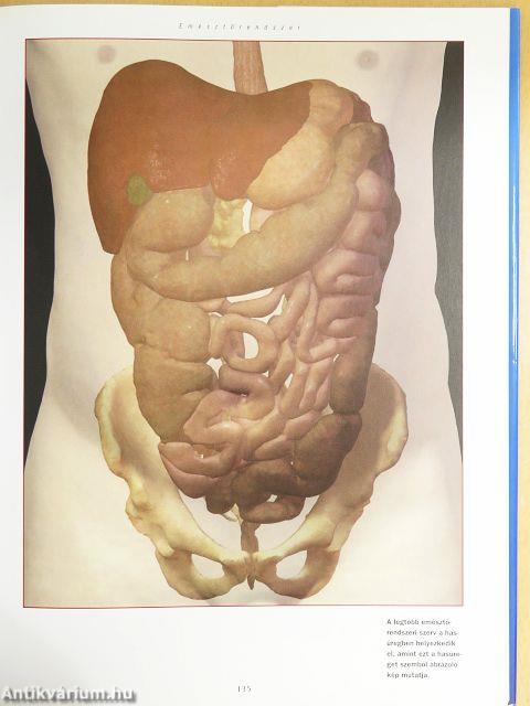 Háromdimenziós anatómiai atlasz - CD-vel