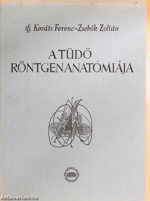 A tüdő röntgenanatómiája