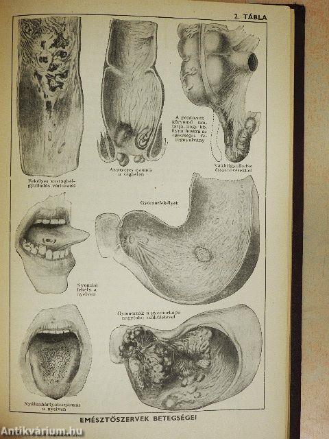Orvos a családban IV.