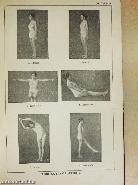 Orvos a családban II.