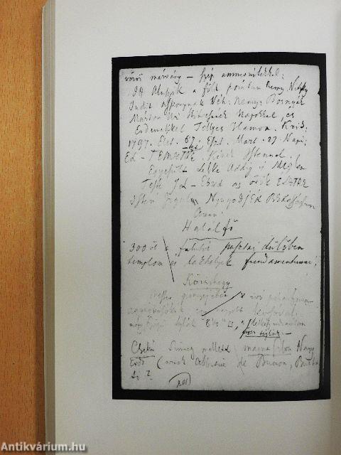 Rómer Flóris jegyzőkönyvei