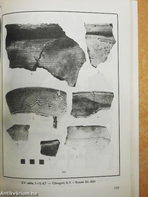 Nagykőrös és környéke avar kori topográfiája