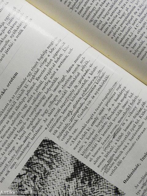 Háziállatok szövettana