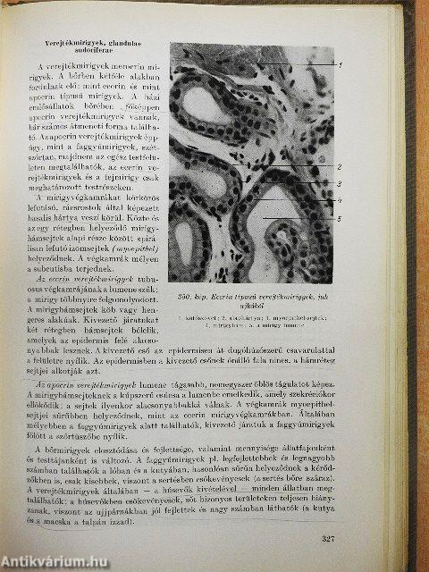 Háziállatok szövettana