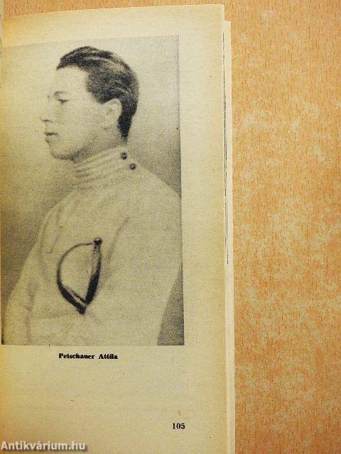 Egy kardforgató élete