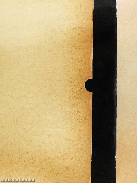 Bilderchronik/Chronicon Pictum/Chronica de Gestis Hungarorum/Wiener Bilderchronik I-II.