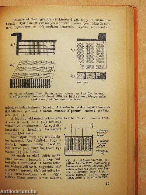 Elektromosságtan és az élet