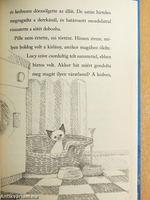 Pille új otthonra lel