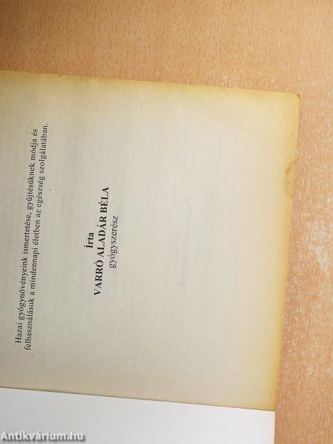 Gyógynövények gyógyhatásai