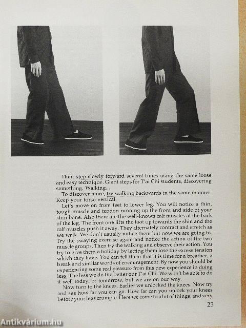 Chinese Soft Exercise