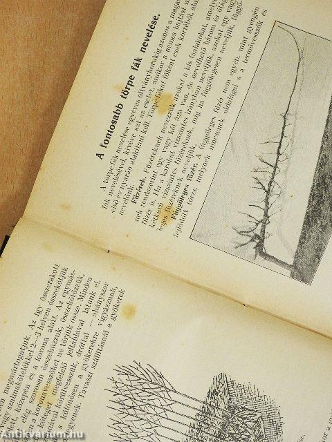 Gyümölcstermesztés és értékesítés