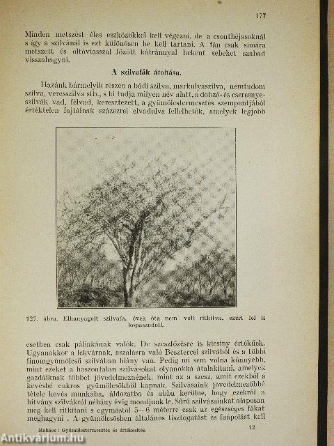 Gyümölcstermesztés és értékesítés