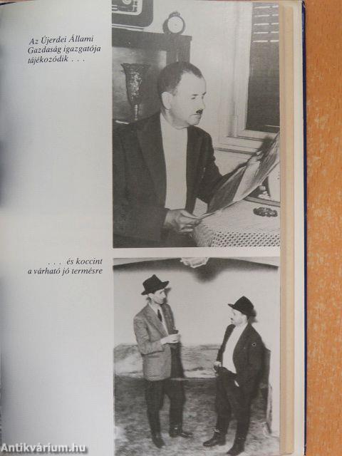 A nyughatatlan főispán