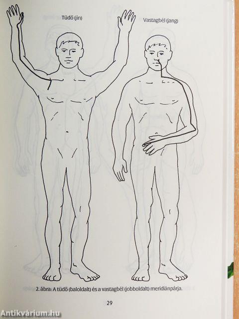 Gyógyító természet