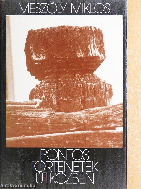 Pontos történetek útközben