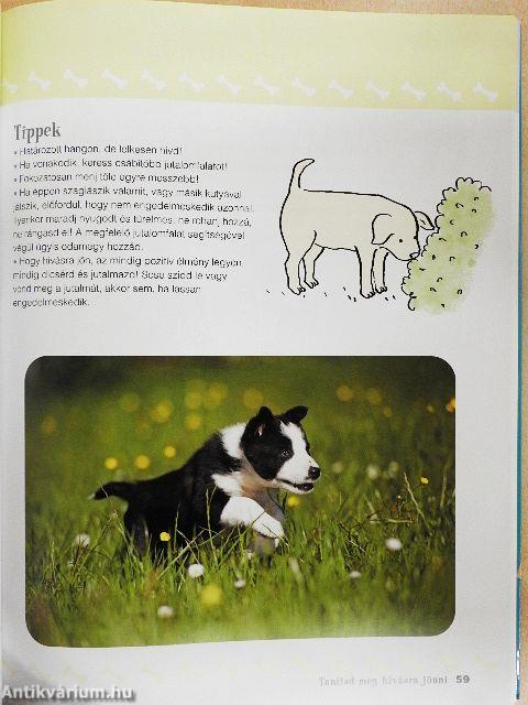 Első kutyás könyvem