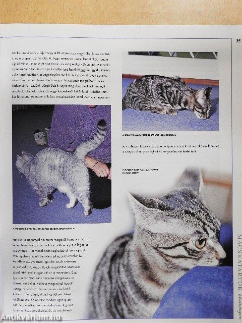 Macskatartók kézikönyve