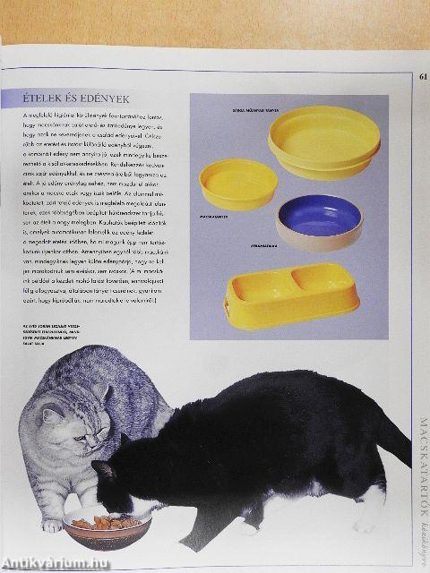 Macskatartók kézikönyve