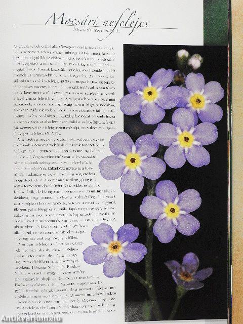 Magyarország legszebb növényei