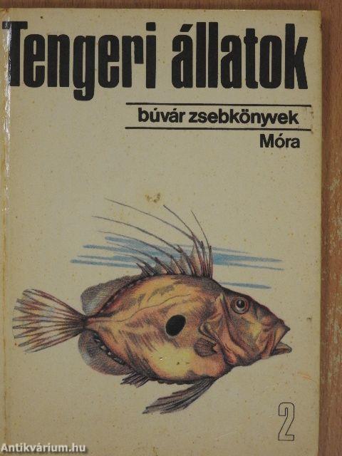 Tengeri állatok 2.