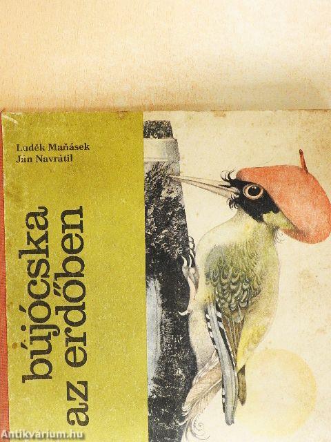 Bújócska az erdőben