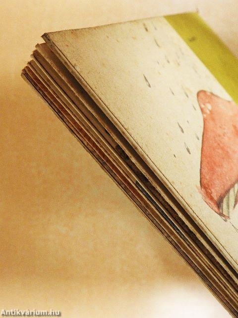 Bújócska az erdőben