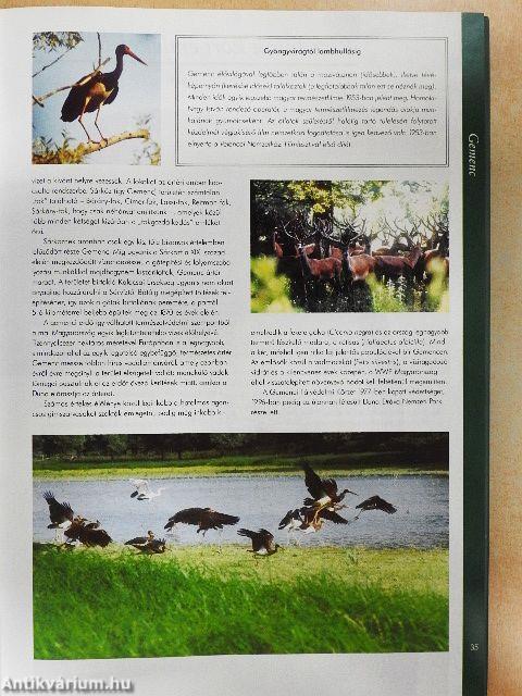 Magyarország száz csodája I.