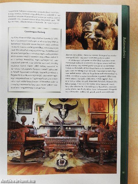 Magyarország száz csodája I.