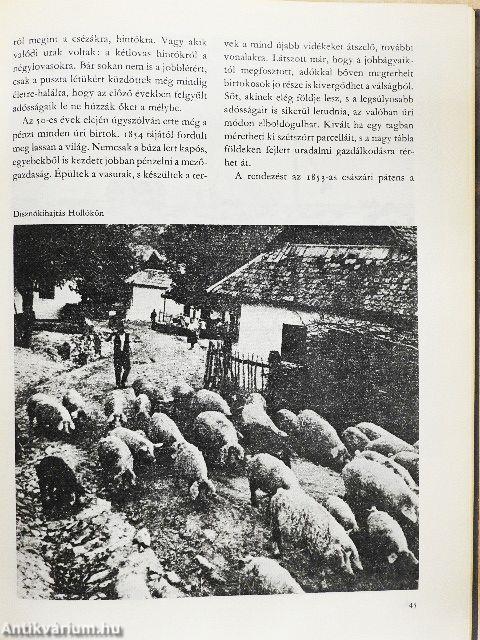 Vér és arany