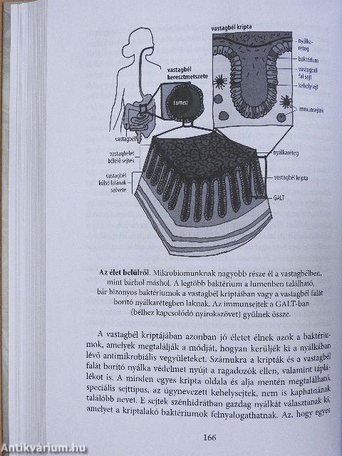 A természet rejtett oldala