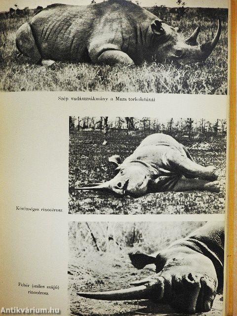 Kelet-Afrika vadonjaiban