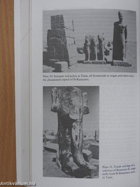 Egypt, Canaan, and Israel in Ancient Times